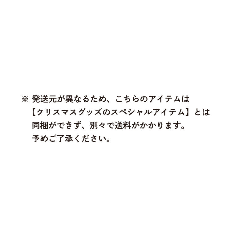 せんたん クリスマスキャンバスポーチ