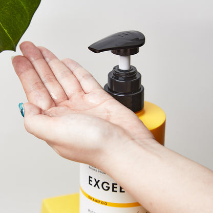 EXGEE 全商品セット