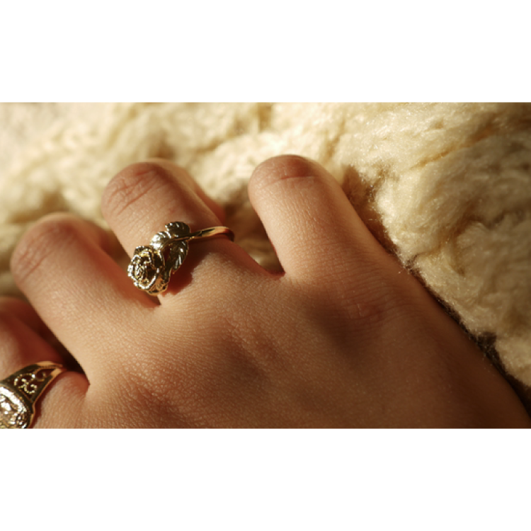【Rosalita】Rosa Ring 3D