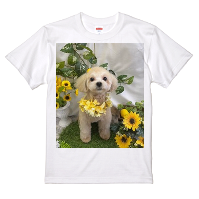 komugi Tシャツ