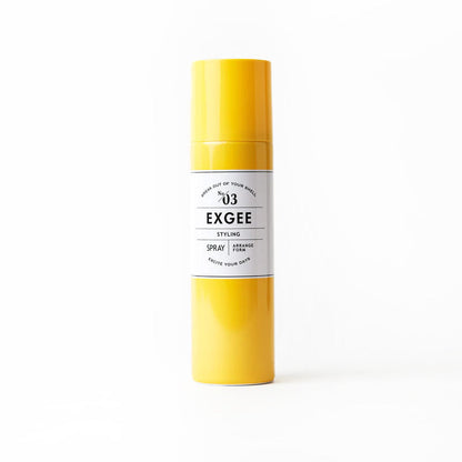 EXGEE スタイリングスプレー