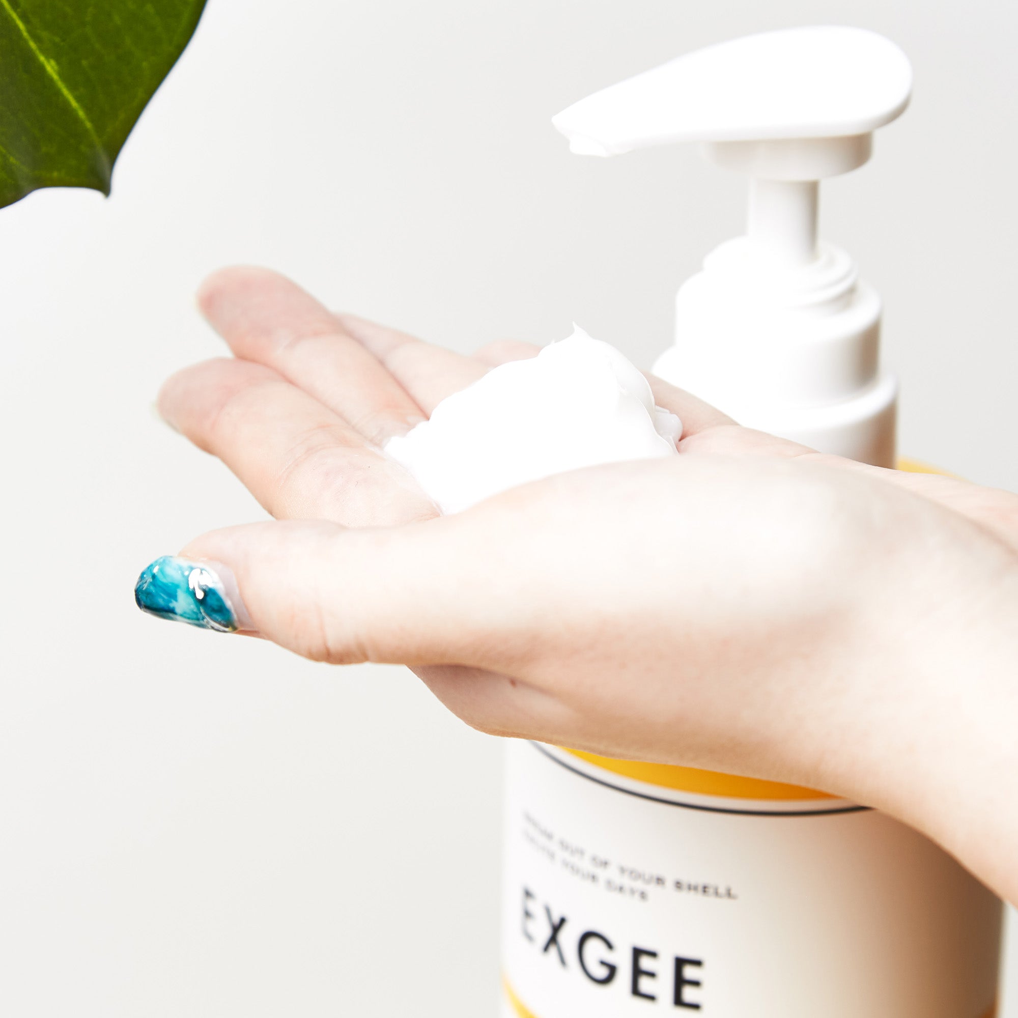 EXGEE 全商品セット
