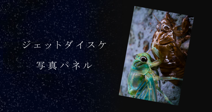 ジェットダイスケ1_image