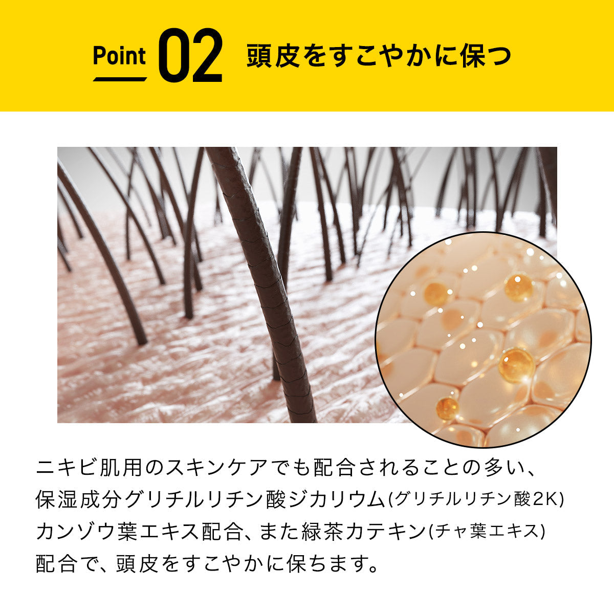 EXGEE 全商品セット
