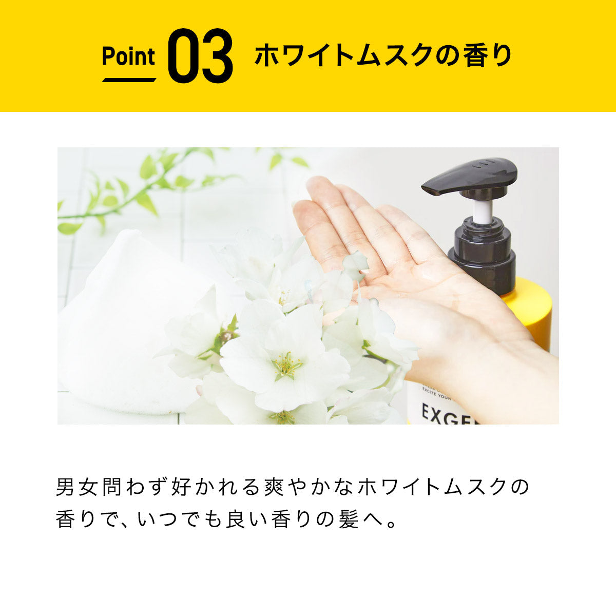 EXGEE 全商品セット