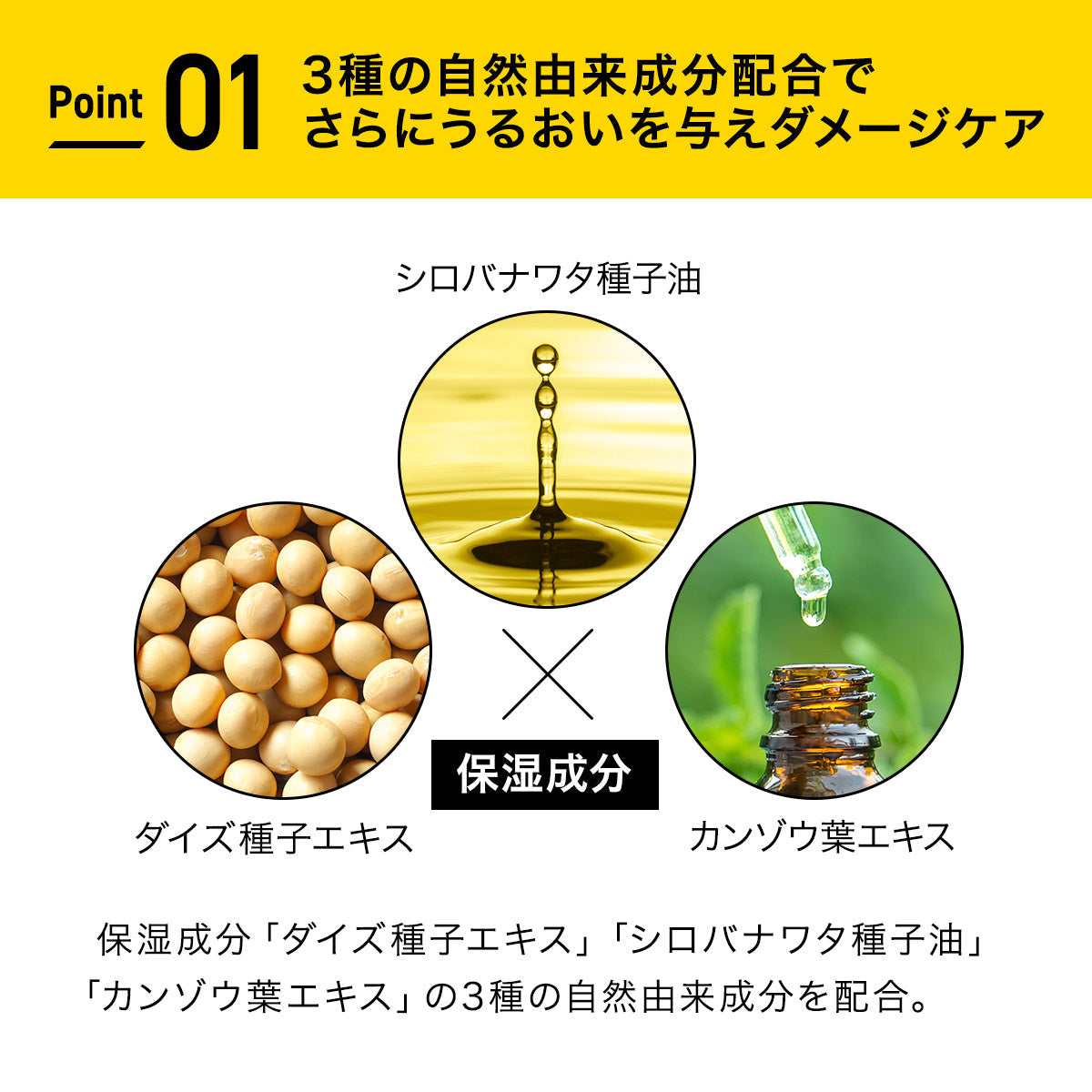 EXGEE 全商品セット
